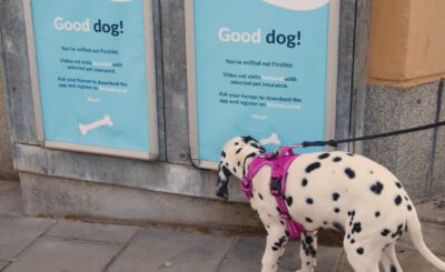 köpeklerin bakmadan geçemediği veteriner reklamı
